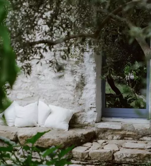 Mario Cesare   Exclusive B&b