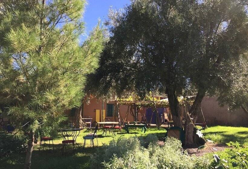 پانسیون Dar Bohota