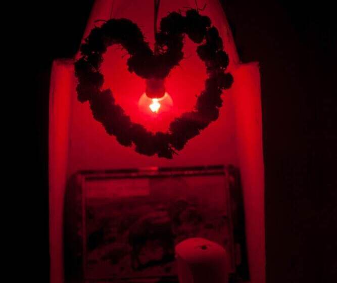 פנסיון Kasbah Ait Kassi