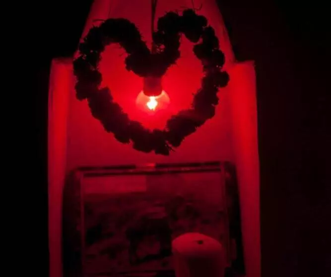 Majatalo Kasbah Ait Kassi