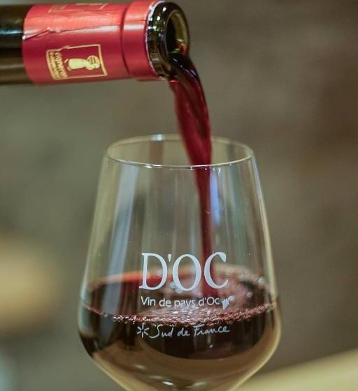 Пансион La Maison Grenadine Près Du Canal Du Midi