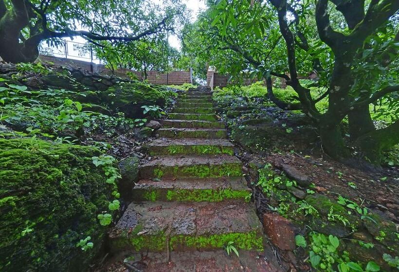 호텔 Mango Tree Resort