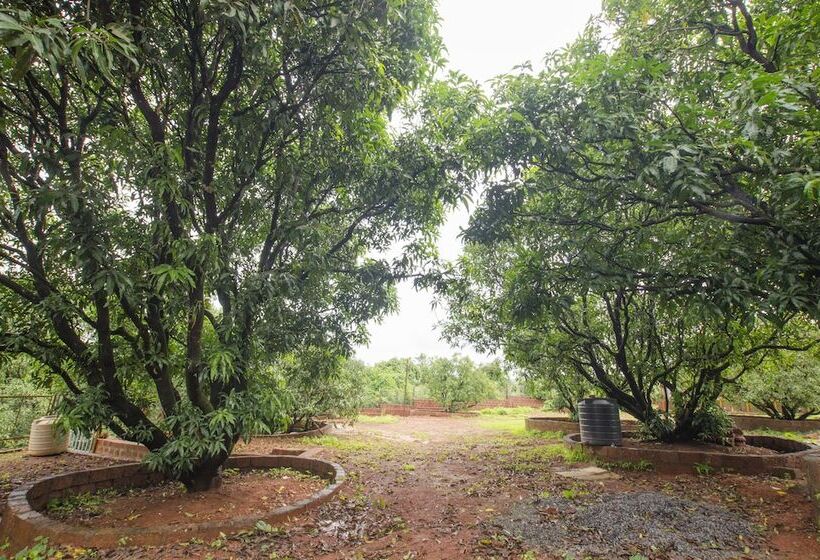 호텔 Mango Tree Resort