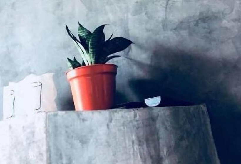 ホテル P Loft Hostel