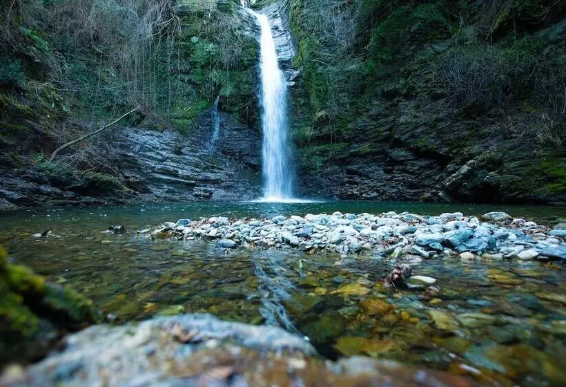 ペンション Castellu D Orezza