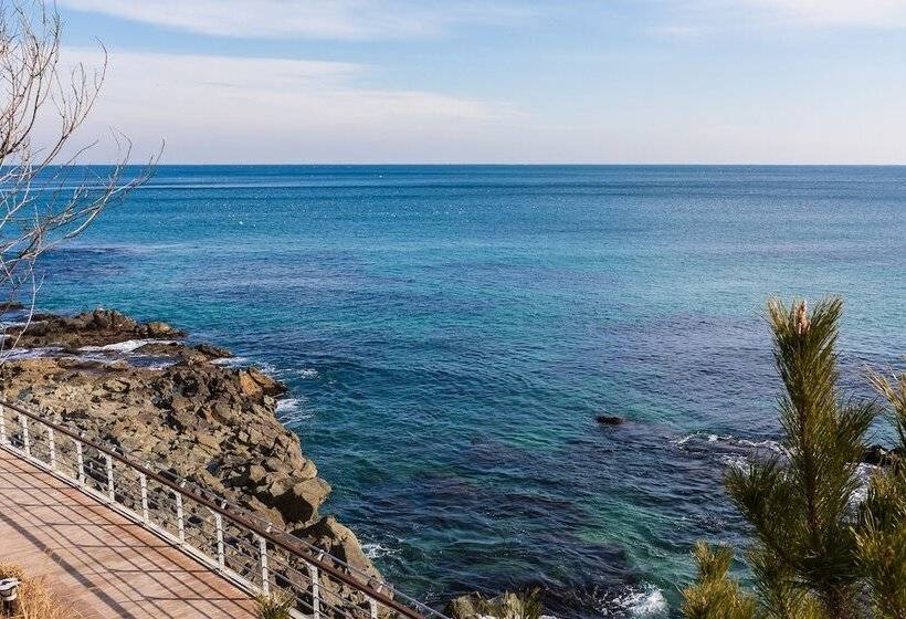 Residència Haelim Pension