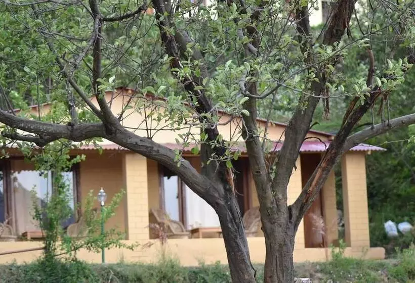 リゾートホテル Belleza Inn Dhanagiri Kanatal