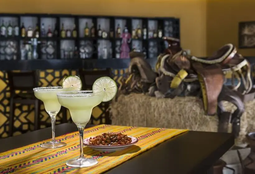 ホテル El Dorado Seaside Suites - All & More Inclusive - Adults Only