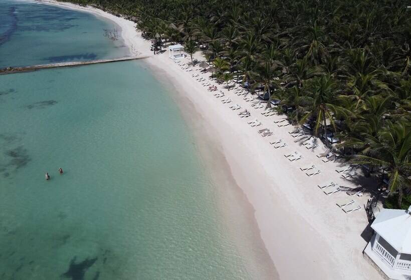 فندق El Dorado Seaside Suites Catamarán, Cenote & More Inclusive