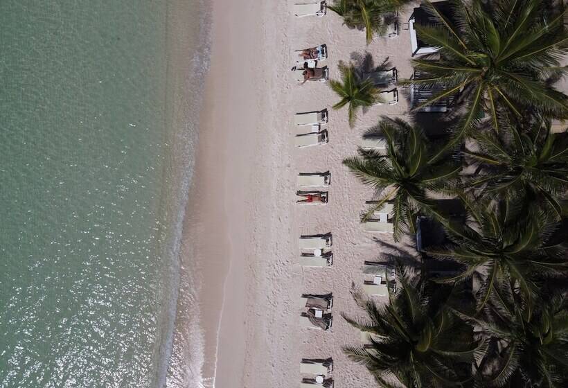 فندق El Dorado Seaside Suites Catamarán, Cenote & More Inclusive