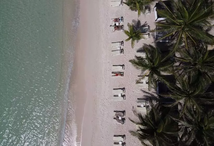 בית מלון כפרי El Dorado Seaside Suites Catamarán, Cenote & More Inclusive