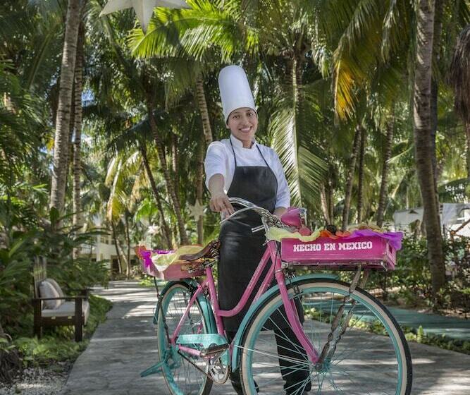 فندق El Dorado Seaside Suites Catamarán, Cenote & More Inclusive