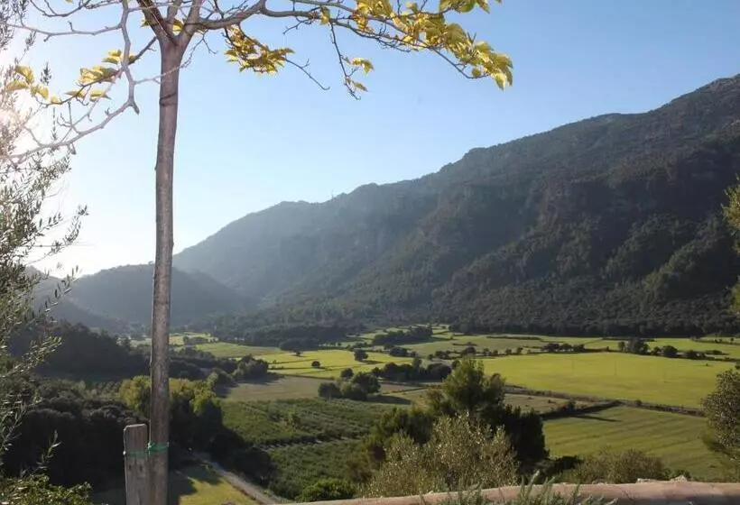 田舎風ホテル Finca Hotel Son Palou