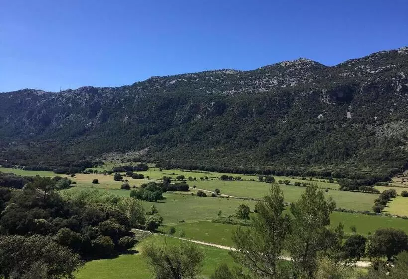 田舎風ホテル Finca Hotel Son Palou