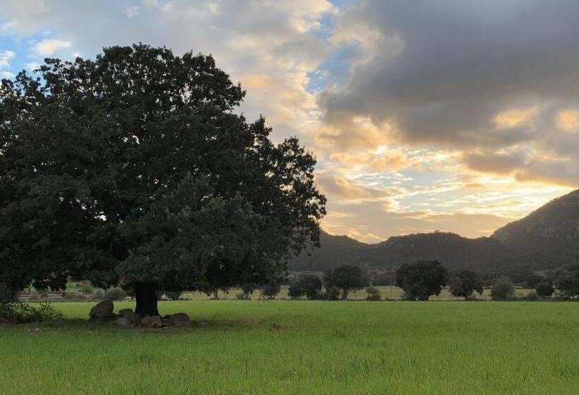 فندق ريفى Finca Hotel Son Palou