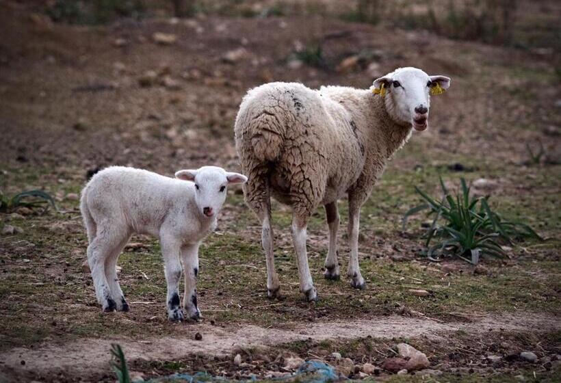 فندق ريفى Finca Hotel Son Palou