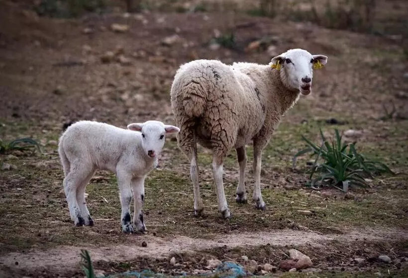 田舎風ホテル Finca Hotel Son Palou