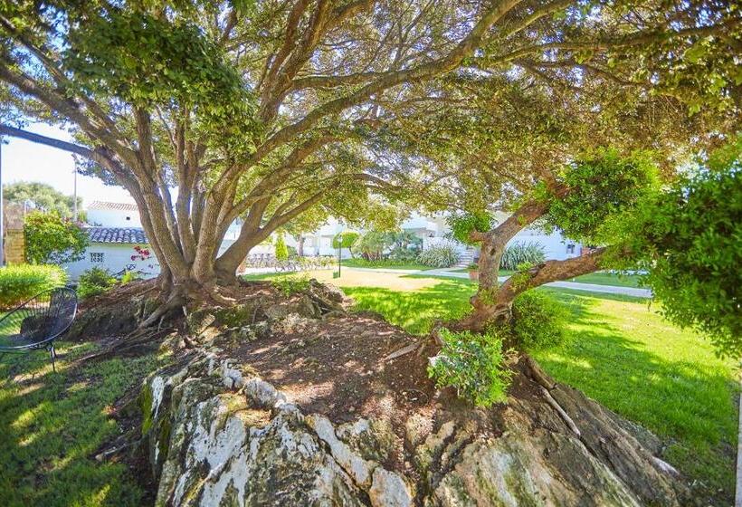 Prinsotel Mal Pas   Adults Only