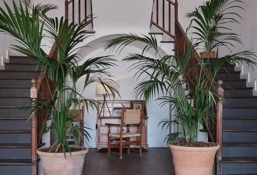 Prinsotel Mal Pas   Adults Only