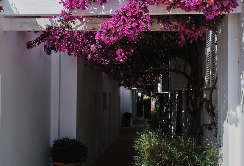 Prinsotel Mal Pas   Adults Only