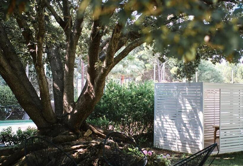 Prinsotel Mal Pas   Adults Only