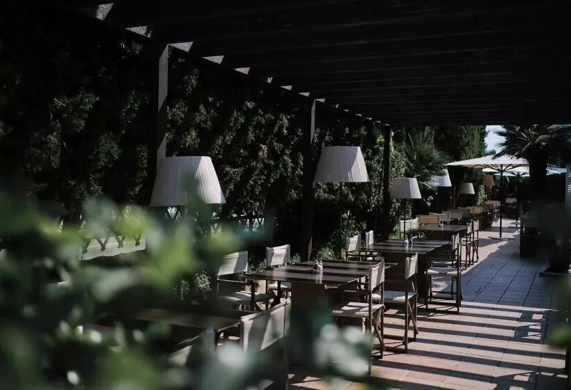 Prinsotel Mal Pas   Adults Only