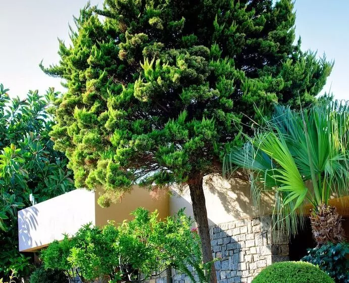 Resort Blue Sea Beach Affiliated by Melia