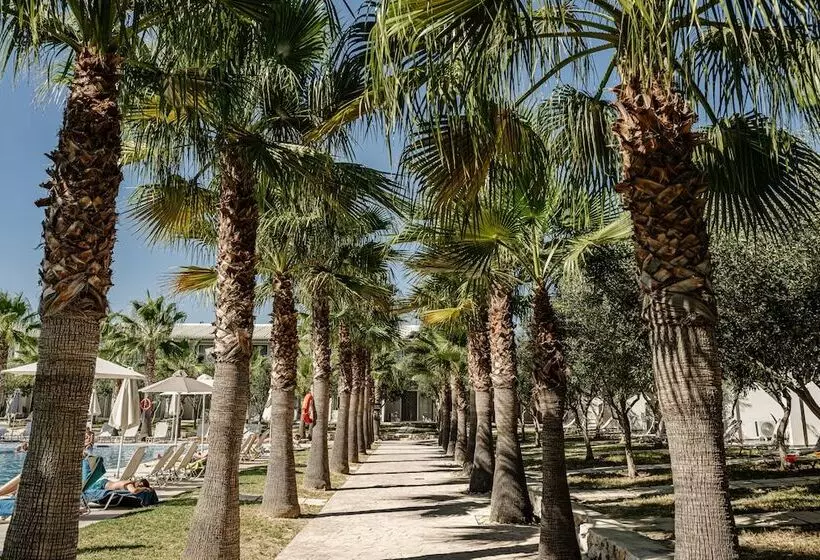 هتل Caretta Island   All Inclusive