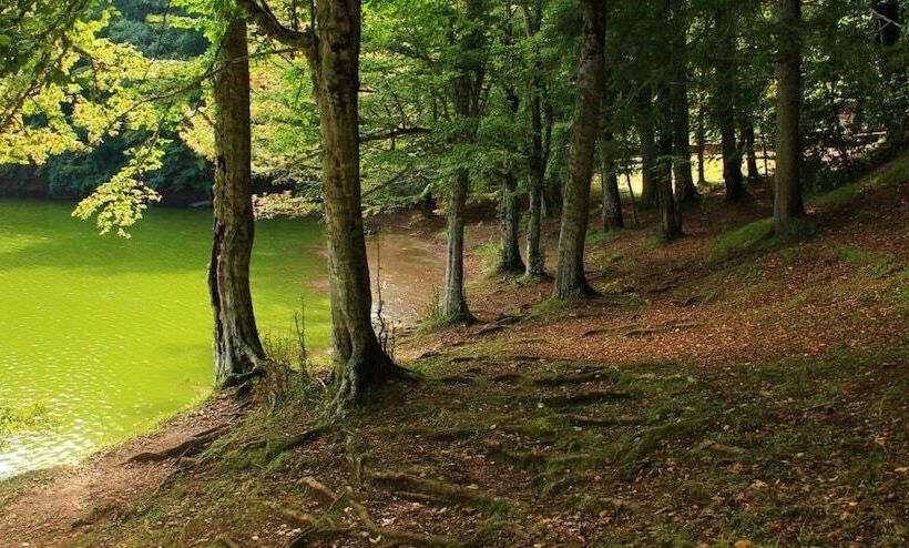 Green Garden Eco Holiday