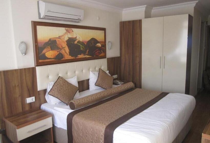 בית מלון כפרי Alican 1