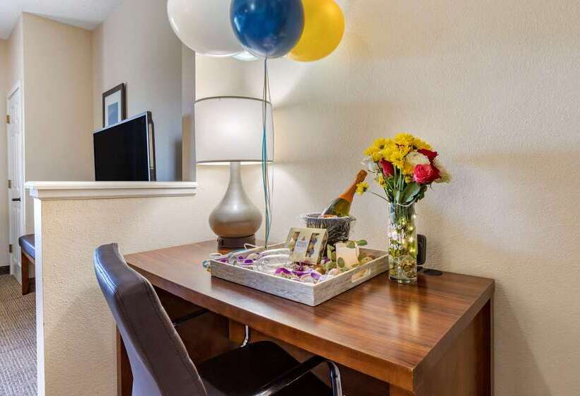 ホテル Comfort Suites Myrtle Beach Central