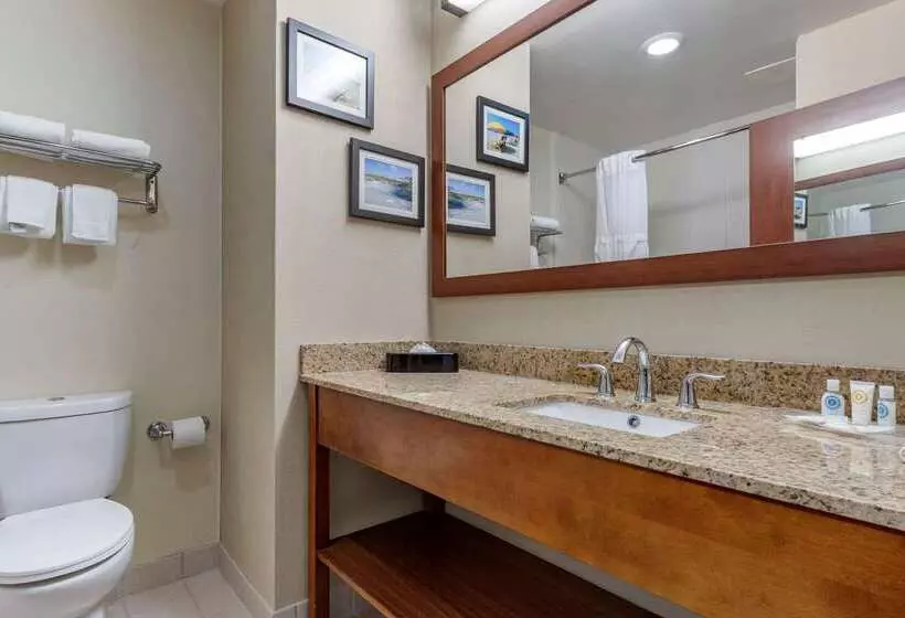 Отель Comfort Suites Myrtle Beach Central