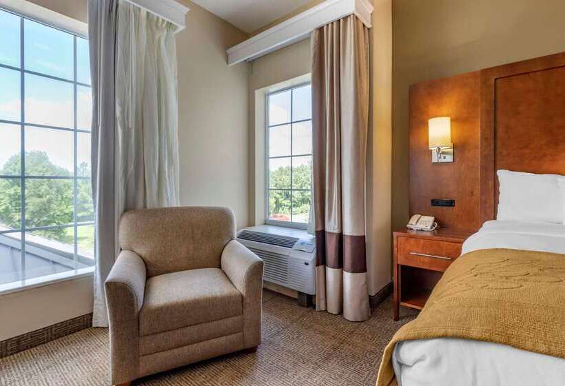 ホテル Comfort Suites Myrtle Beach Central