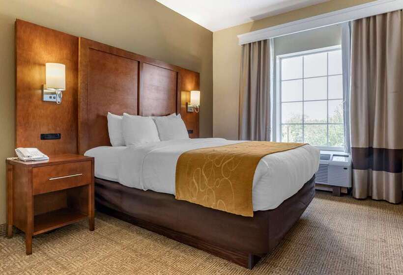 ホテル Comfort Suites Myrtle Beach Central