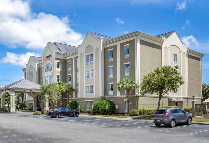 ホテル Comfort Suites Myrtle Beach Central