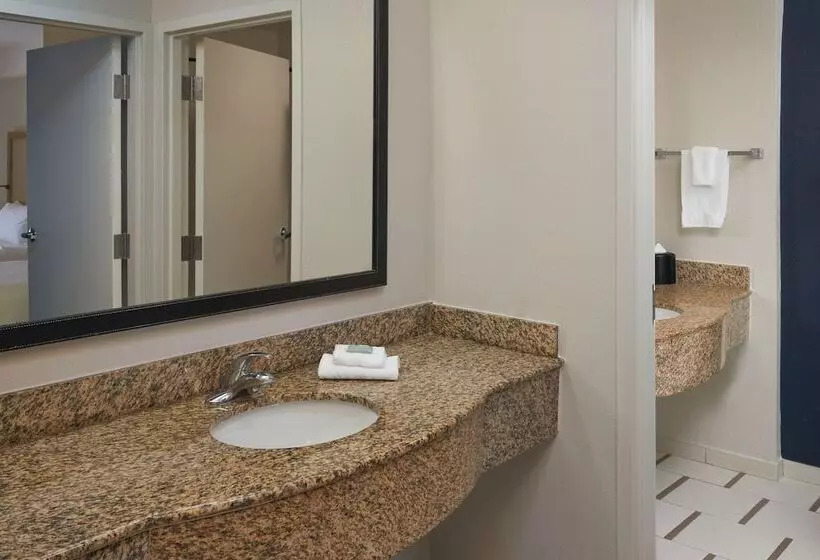 호텔 Fairfield Inn & Suites By Marriott Orlando International Drive/convention Center