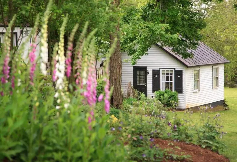 Aamiaismajoitus (B&B) Inn And Tavern At Meander