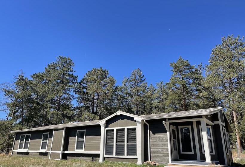 فندق Black Tree Resort