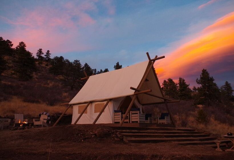 فندق Black Tree Resort