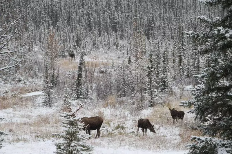 Hotelli Northern Sky Lodge