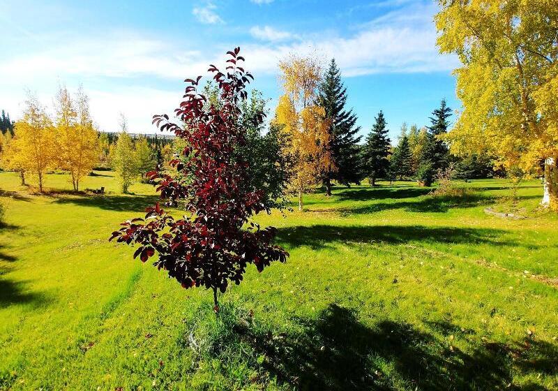 فندق Northern Sky Lodge