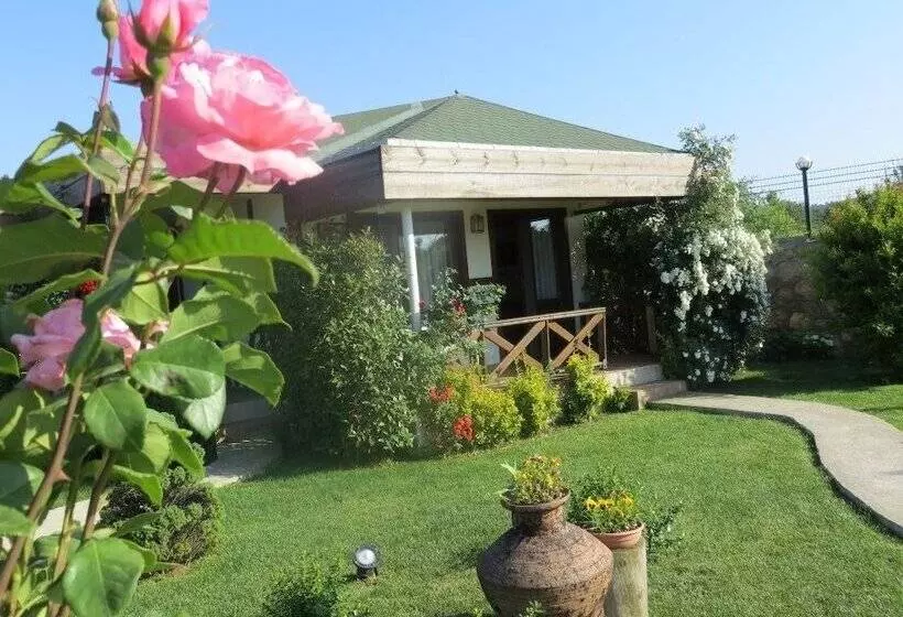 ホテル Riva's Club