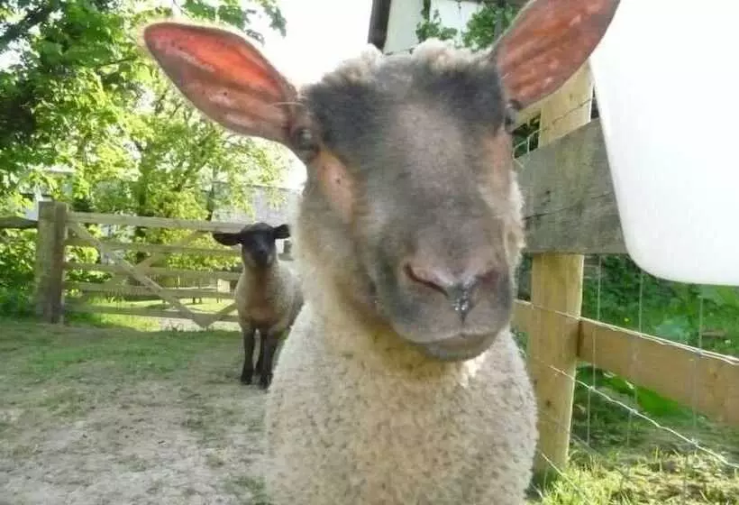 Maaseutuhotelli Birchill Farm Holiday Cottages