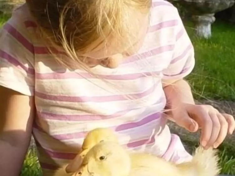 Maaseutuhotelli Birchill Farm Holiday Cottages