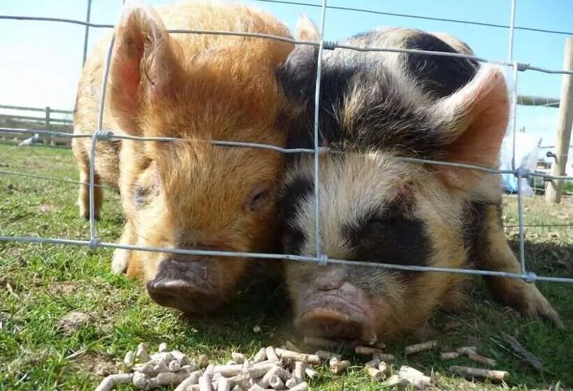 Maaseutuhotelli Birchill Farm Holiday Cottages