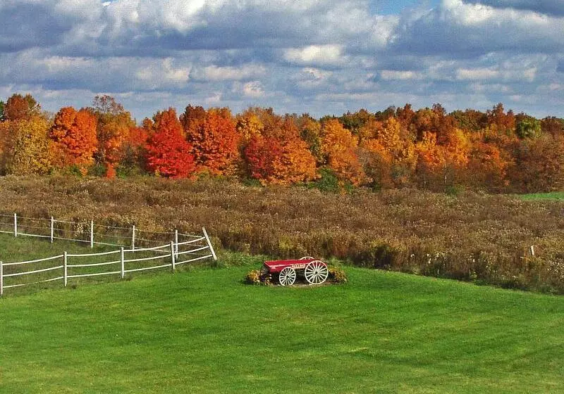 Los Gatos Bed & Breakfast