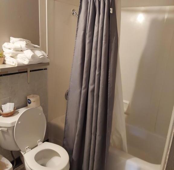 モーテル Cactus Inn