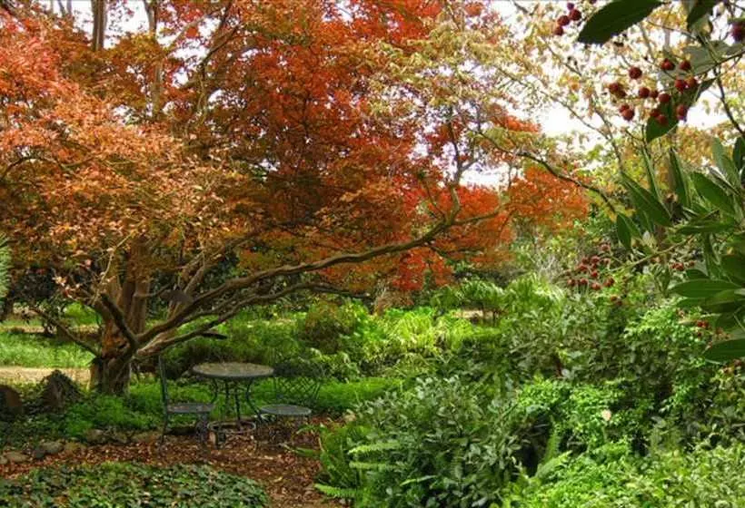 Wicky Up Ranch Bed And Breakfast