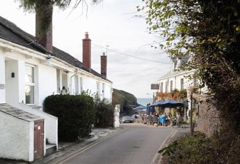 Green Door   Marigold