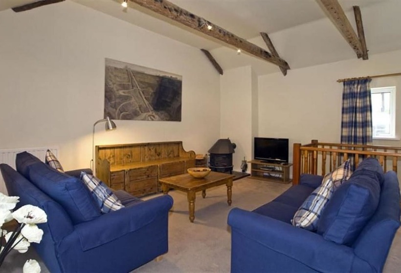 Green Door   Marigold